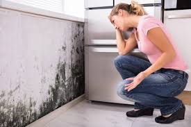 Why You Should Choose Our Mold Remediation Services in Anahuac, TX